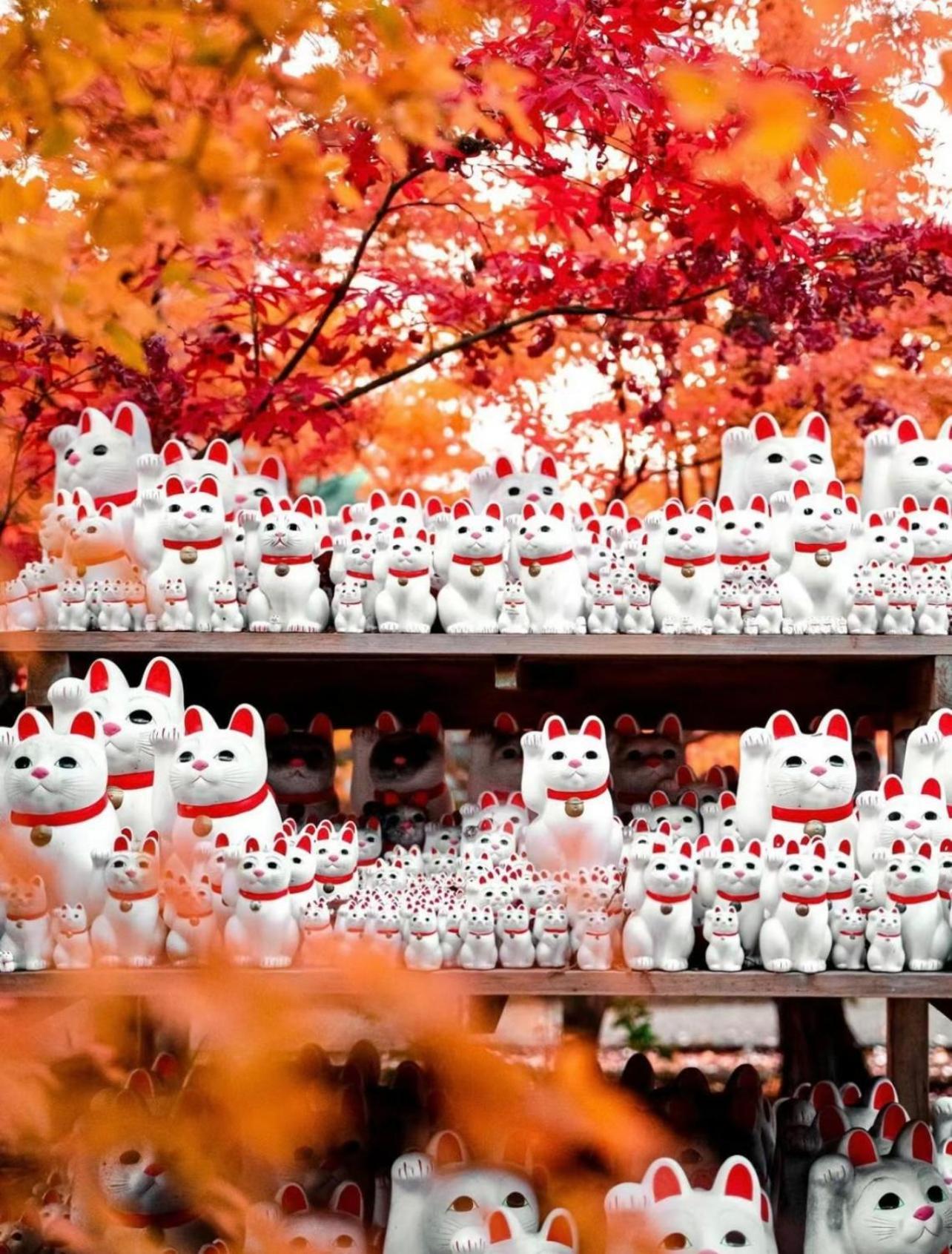吉吉の家 Tóquio